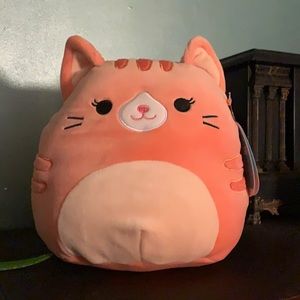 Squishmallow Gigi the Cat 🐈 🌈